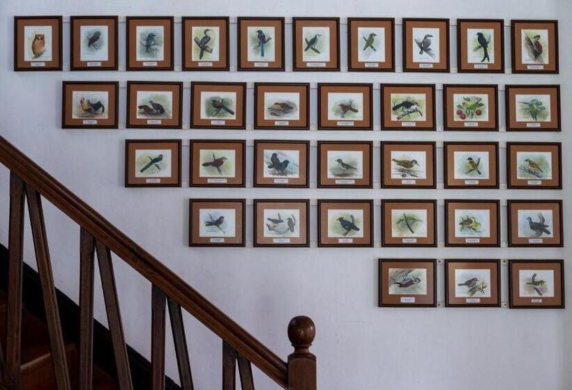 Пансион Horathapola Estate