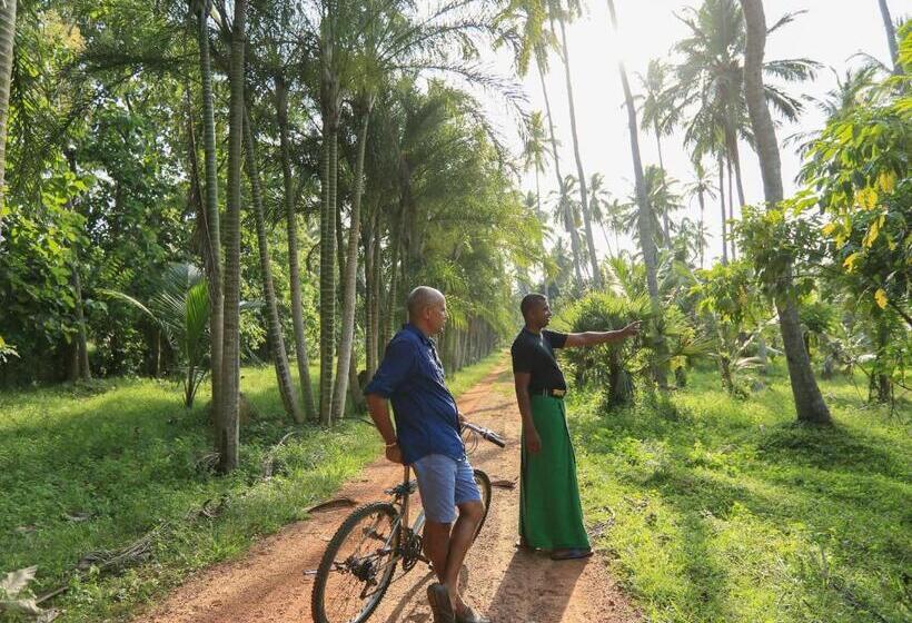 Пансион Horathapola Estate