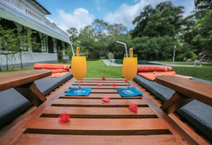 Пансион Horathapola Estate