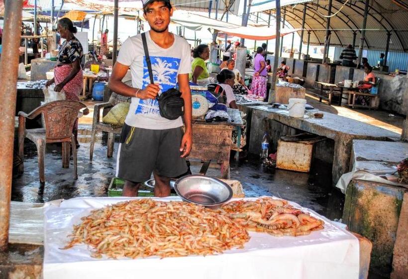 بنسيون Miura Dutch Edge