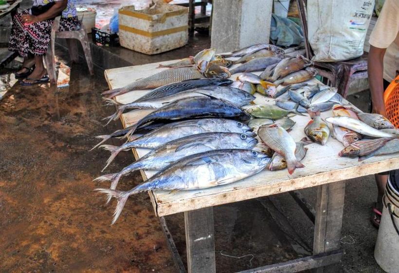 بنسيون Miura Dutch Edge