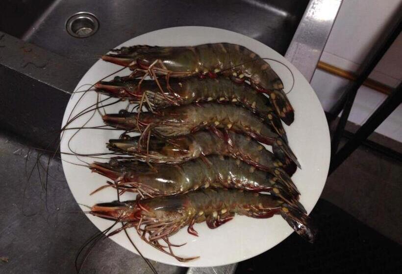 بنسيون Miura Dutch Edge