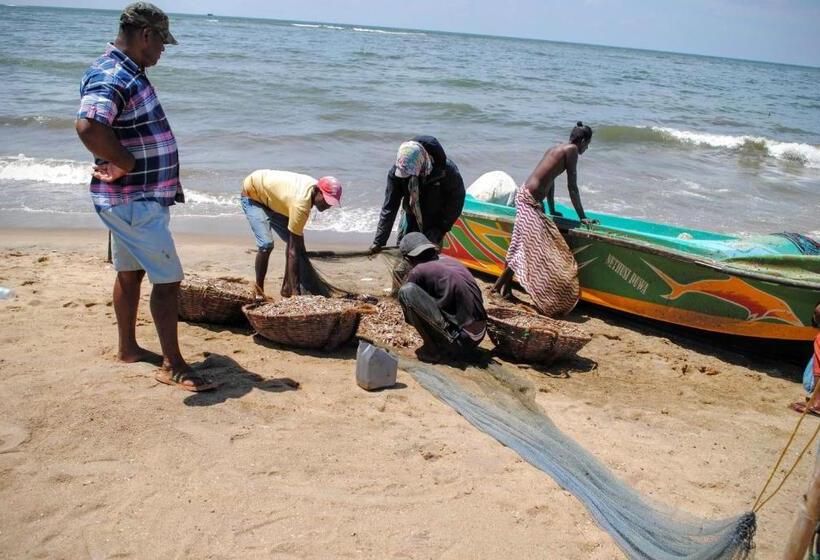 بنسيون Miura Dutch Edge