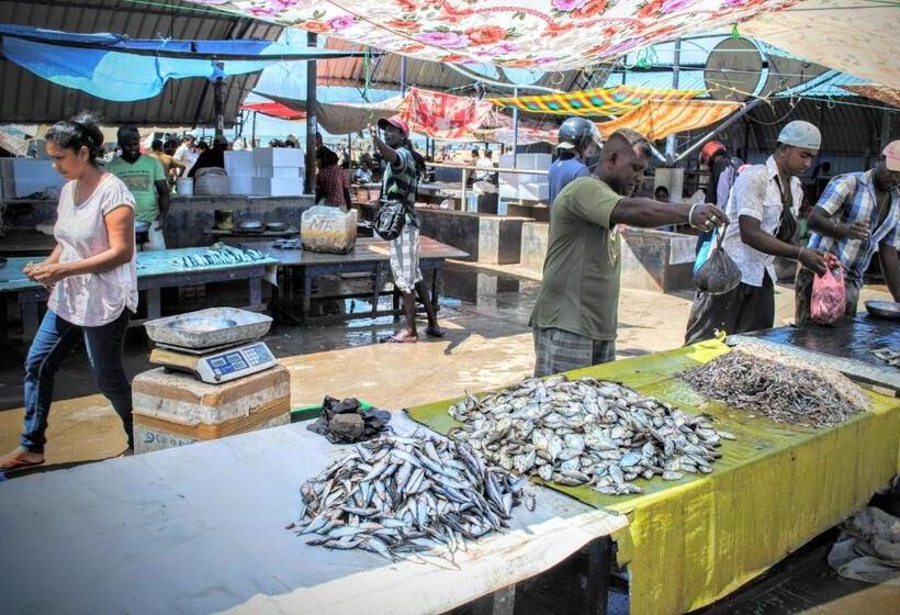 بنسيون Miura Dutch Edge