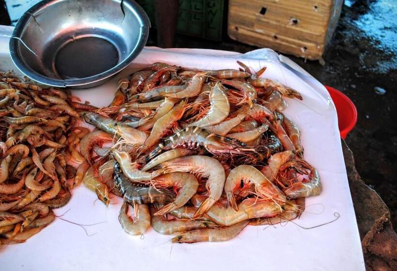 بنسيون Miura Dutch Edge