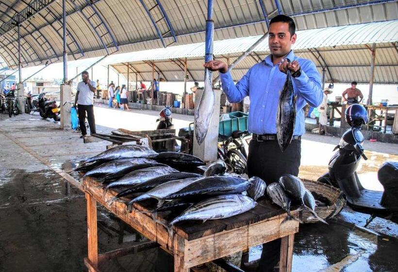 بنسيون Miura Dutch Edge