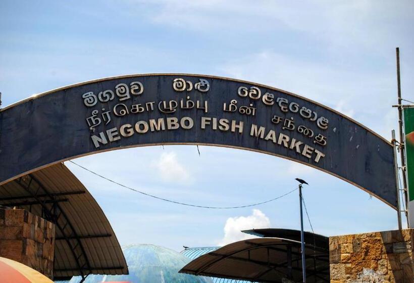 بنسيون Miura Dutch Edge