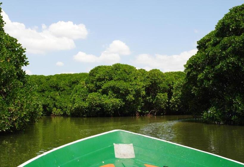 بنسيون Miura Dutch Edge