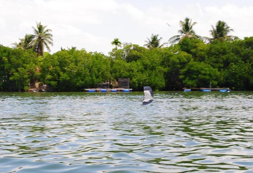 بنسيون Miura Dutch Edge