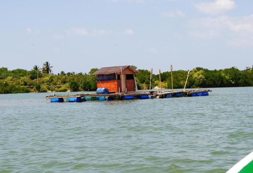 بنسيون Miura Dutch Edge