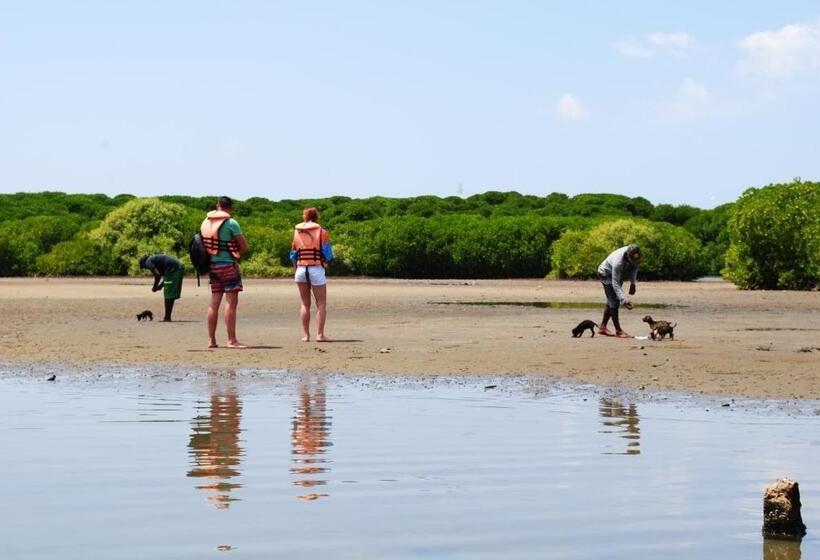 بنسيون Miura Dutch Edge