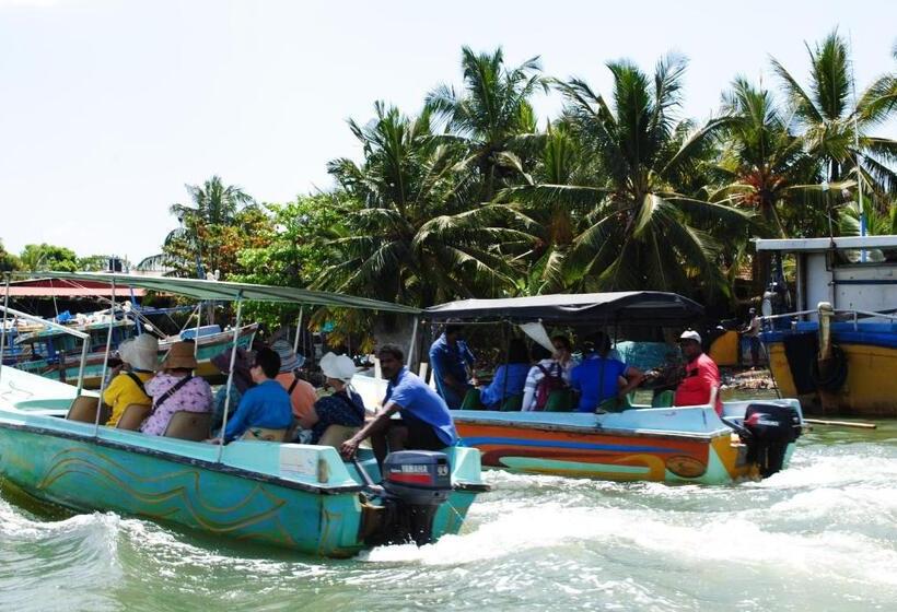 بنسيون Miura Dutch Edge
