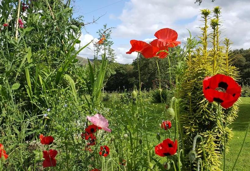 پانسیون Nant Yr Onnen B&b And Ysgubor Holiday Cottage
