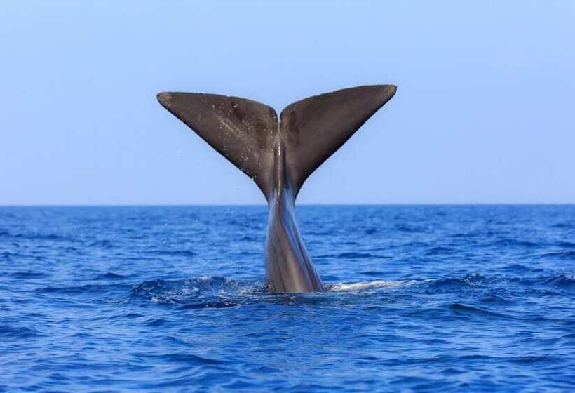 ペンション Valampuri Kite Resort