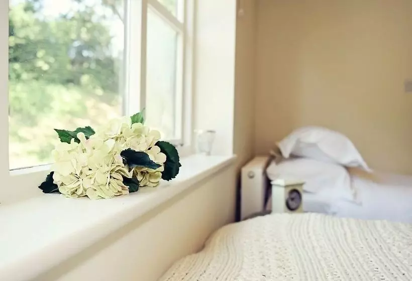 簡易ホテル The Nest  And Restaurant