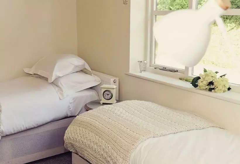 簡易ホテル The Nest  And Restaurant