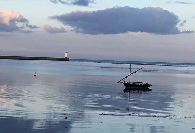 تختخواب و صبحانه Orkney Guest House