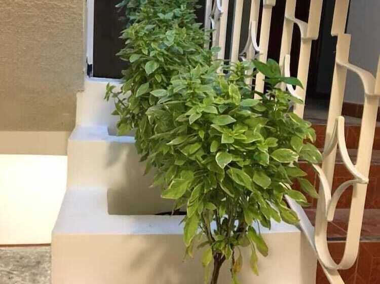 Hostal San Jemo León Hostel