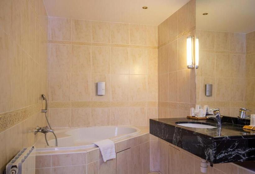 호텔 De La Gare Troyes Centre