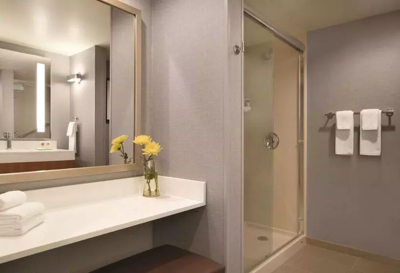 هتل Hyatt Place Chicago Ohare Airport