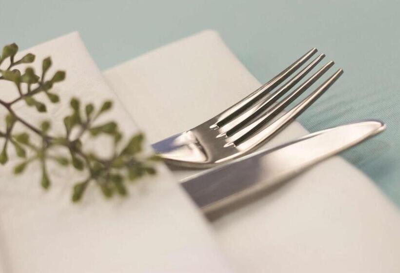 هتل Hyatt Place Chicago Ohare Airport