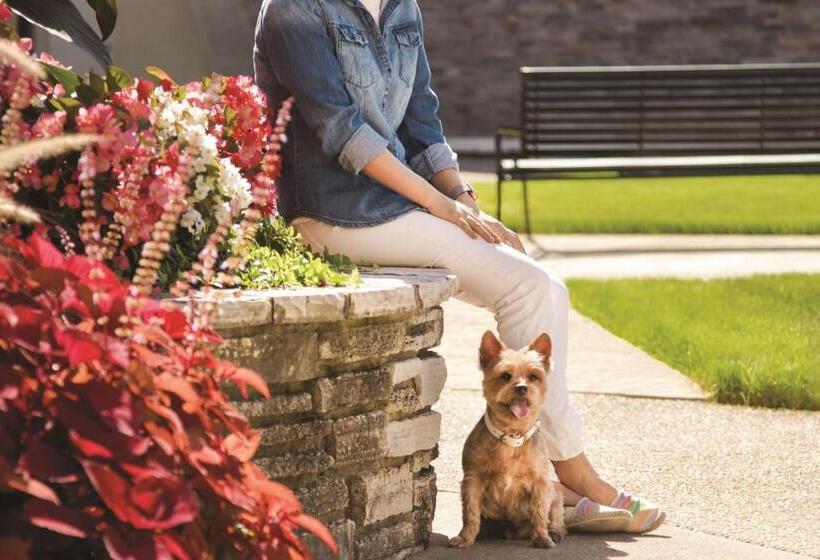 هتل Hyatt Place Chicago Ohare Airport