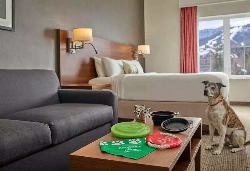 ホテル Residence Inn By Marriott Breckenridge