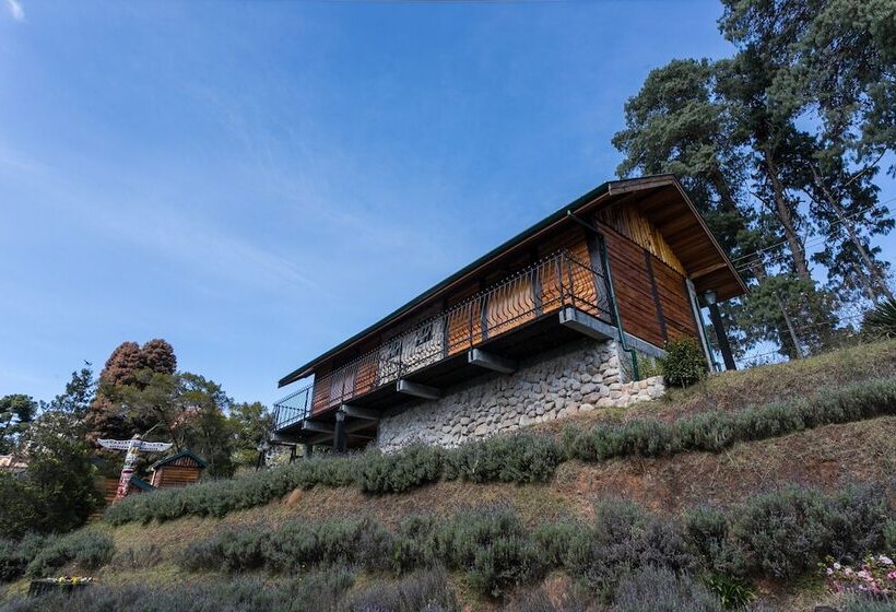 هتل Savoy Excellence