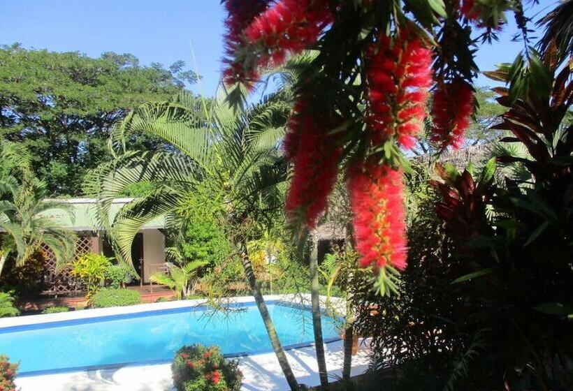 هتل Tropic Hôtel