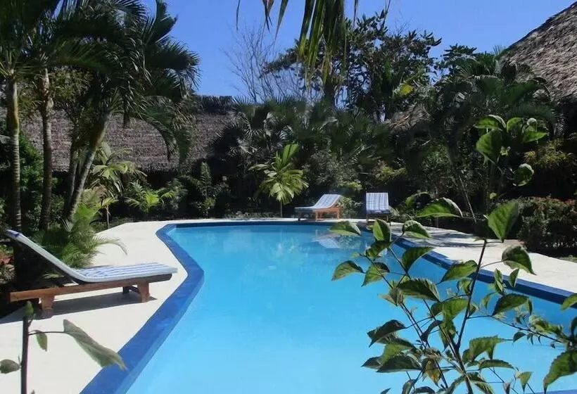 هتل Tropic Hôtel