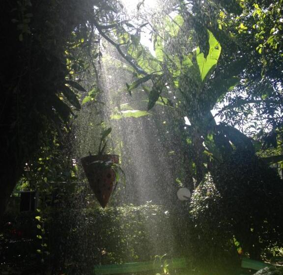 Schronisko Baan Bua Guest House