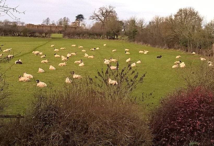 تختخواب و صبحانه Beeches Farmhouse Country Cottages & Rooms