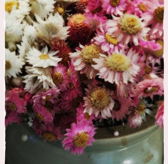 مبيت وإفطار La Devinie