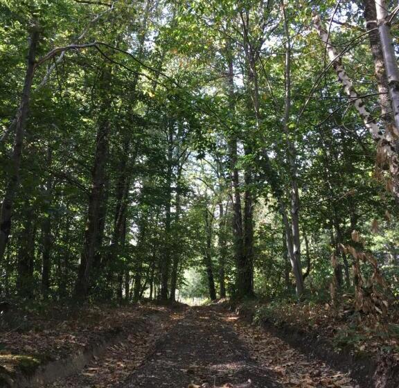 צימר Les Chambres Lauryvan