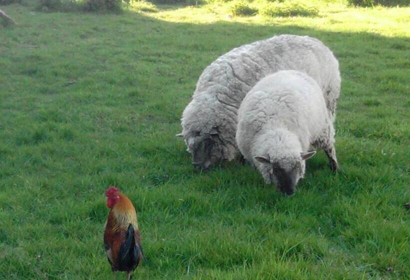 ベッドアンドブレックファースト Logis De Riparfonds