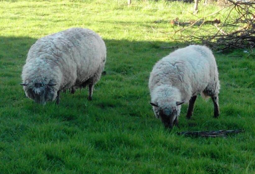 ベッドアンドブレックファースト Logis De Riparfonds