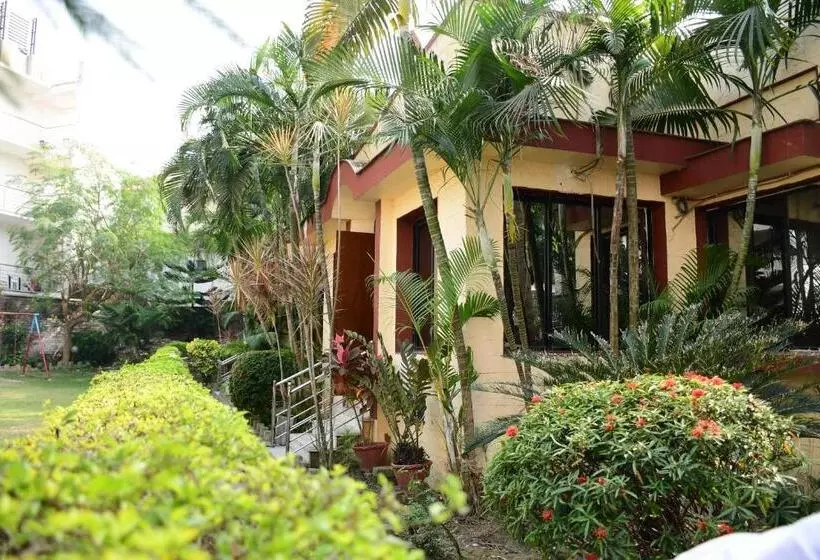 Hotel Dolphin