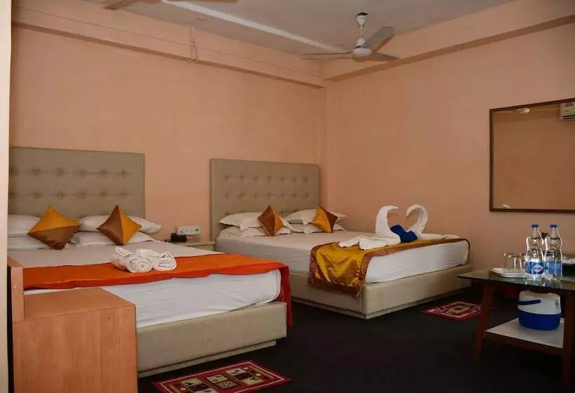 Hotel Dolphin
