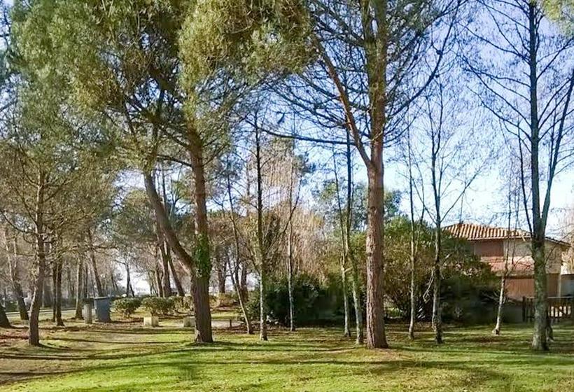 Maison Charmante A Hourtin Avec Jardin Cloture