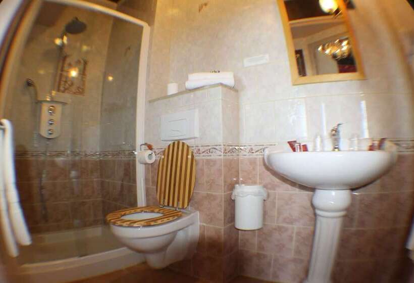 فندق Raymond Vii