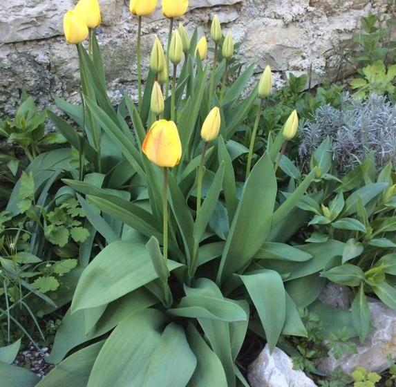 Annapurna Bed & Breakfast