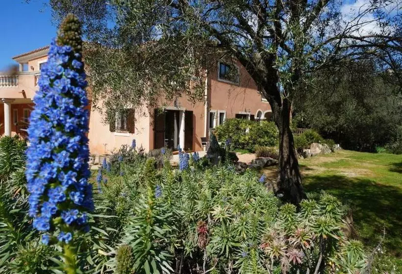 تختخواب و صبحانه Chambre D'hôtes Domaine Pero Longo