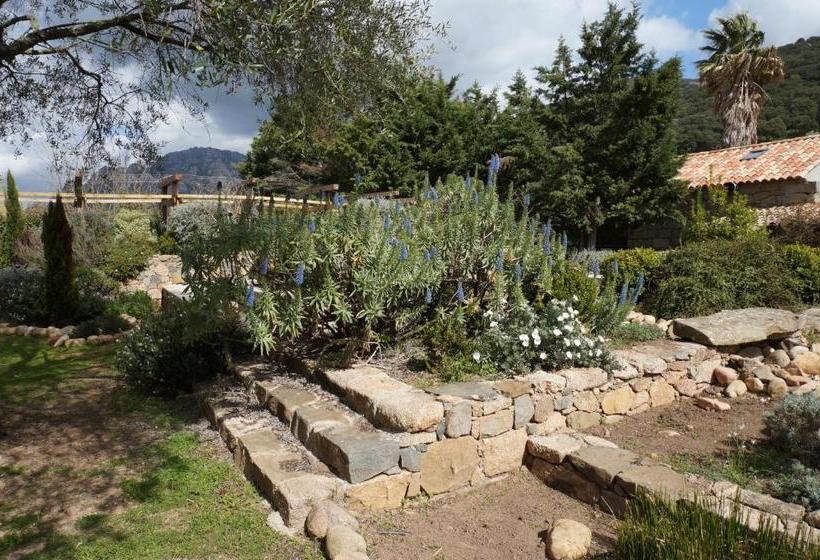 צימר Chambre D'hôtes Domaine Pero Longo