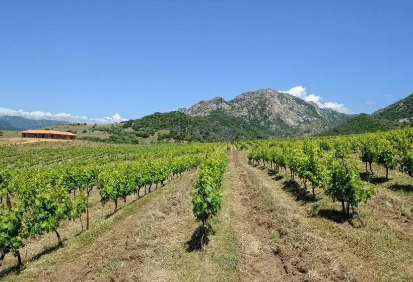 تختخواب و صبحانه Chambre D'hôtes Domaine Pero Longo