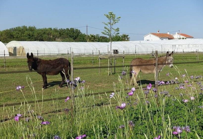 تختخواب و صبحانه Gite Du Pagoulin Chambres D Hotes