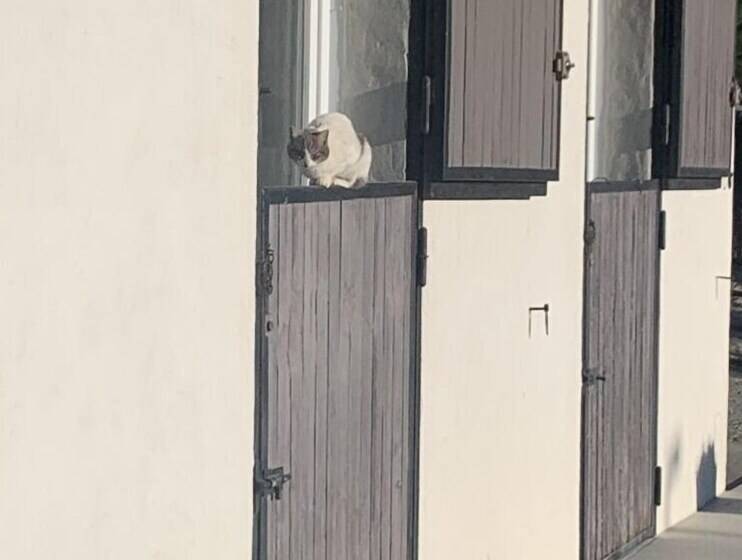 مبيت وإفطار Le Mazet Chambre D Hôtes