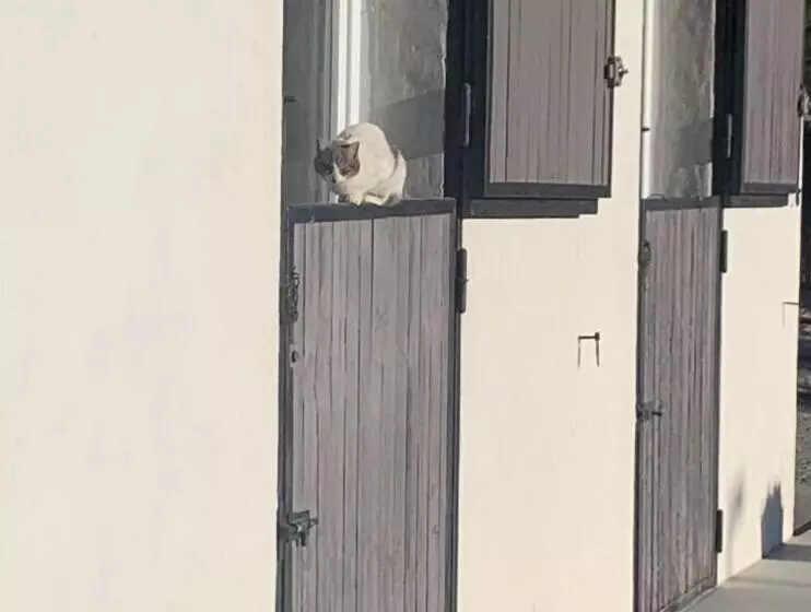 تختخواب و صبحانه Le Mazet Chambre D Hôtes
