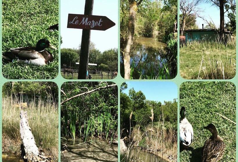 مبيت وإفطار Le Mazet Chambre D Hôtes