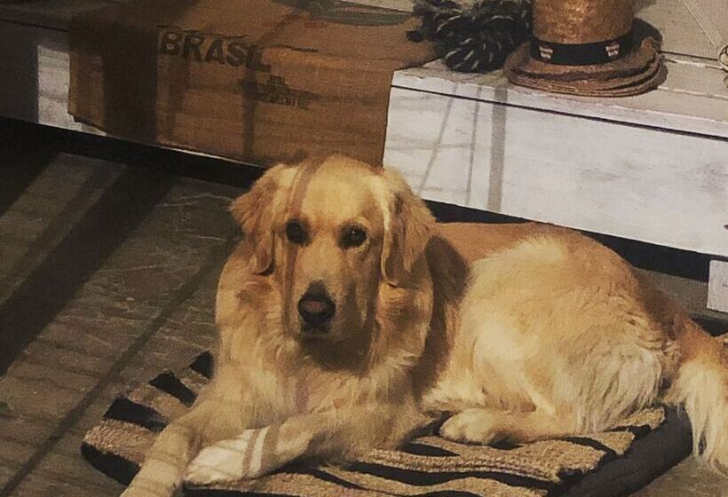 مبيت وإفطار Le Mazet Chambre D Hôtes