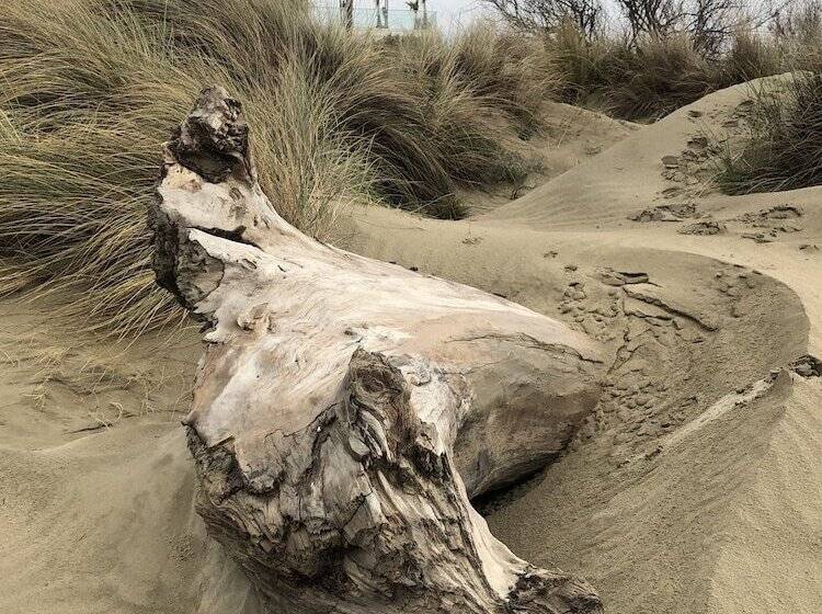 مبيت وإفطار Le Mazet Chambre D Hôtes